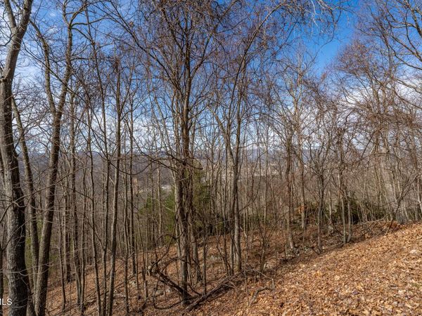 Tbd Iroquois Road, Mountain City, TN 37683