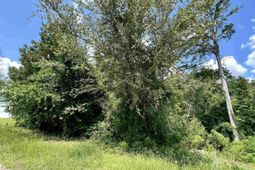 286 Rivers Edge Dr. photo 4