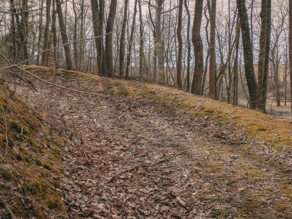 0 Alum Spring RD, Dublin, VA 24084