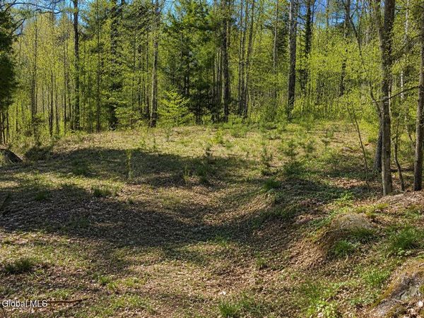 18 Highview Lane, Unit Lot 1, Wevertown, NY 12886