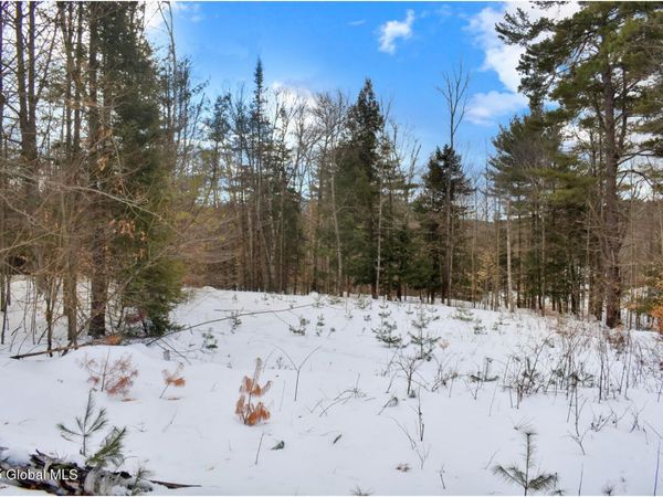 L86 Highview Lane, Unit Lot 2, Wevertown, NY 12886