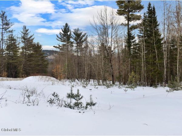 L88 Highview Lane, Unit Lot 4, Wevertown, NY 12886