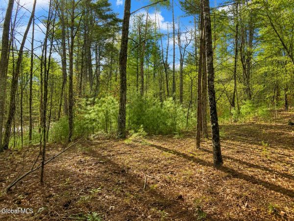 L94 Highview Lane, Unit Lot 10, Wevertown, NY 12886