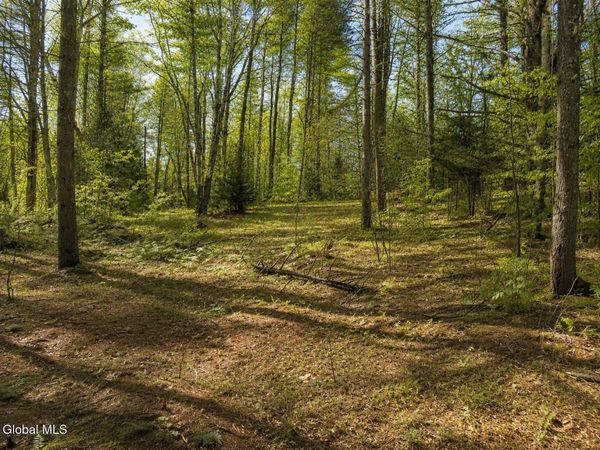 L95 Highview Lane, Unit Lot 11, Wevertown, NY 12886