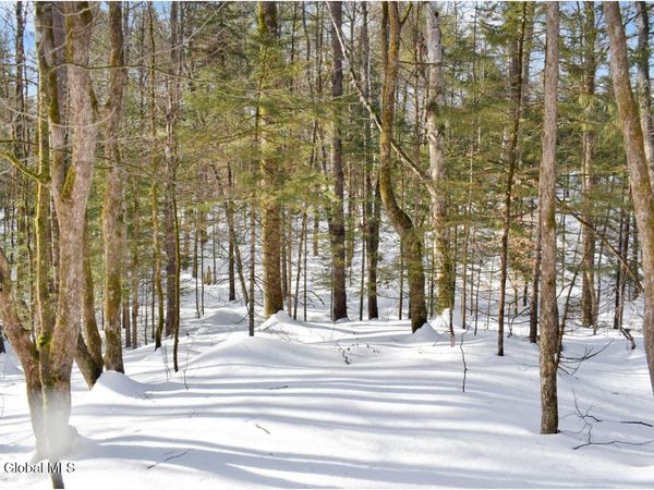 L96 Highview Lane, Unit Lot 12, Wevertown, NY 12886