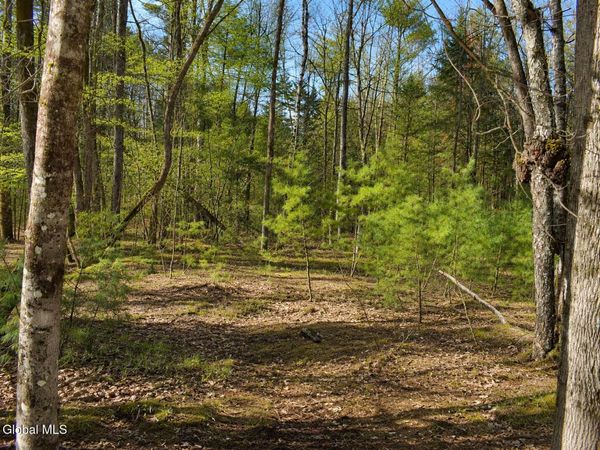 L96 Highview Lane, Unit Lot 12, Wevertown, NY 12886