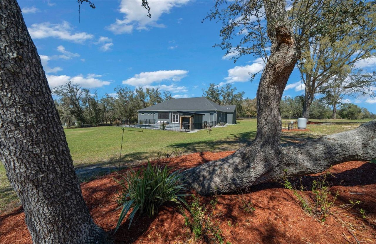 11707 SE 101st Court Road, Belleview, FL 34420 Photo