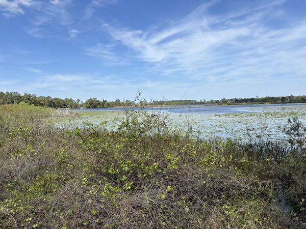 1970 McBride Road, See Remarks, FL 00000