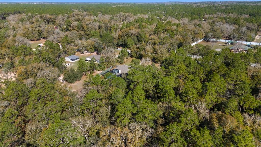 12880 SW 66th Street, Ocala, FL 34481 Photo