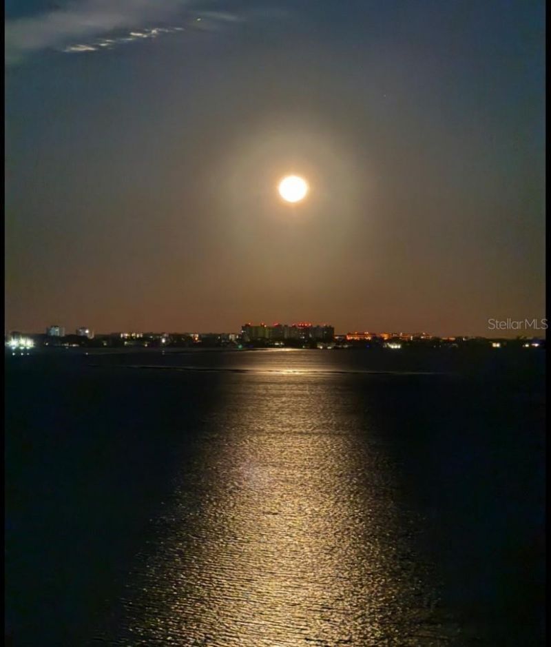 35 Watergate Drive, Unit 1103, Sarasota, FL 34236 Photo