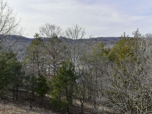 5 Woodpecker Lane, Unit 2, Branson, MO 65616