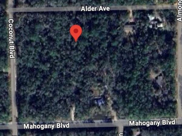 6327 ALDER AVENUE, BUNNELL, FL 32110