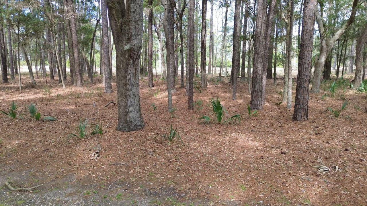 19 Masters Court Photo 5