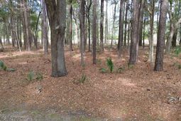 19 Masters Court photo 4