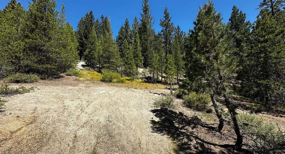 1940 Us Highway 50, South Lake Tahoe, CA 96150 Photo