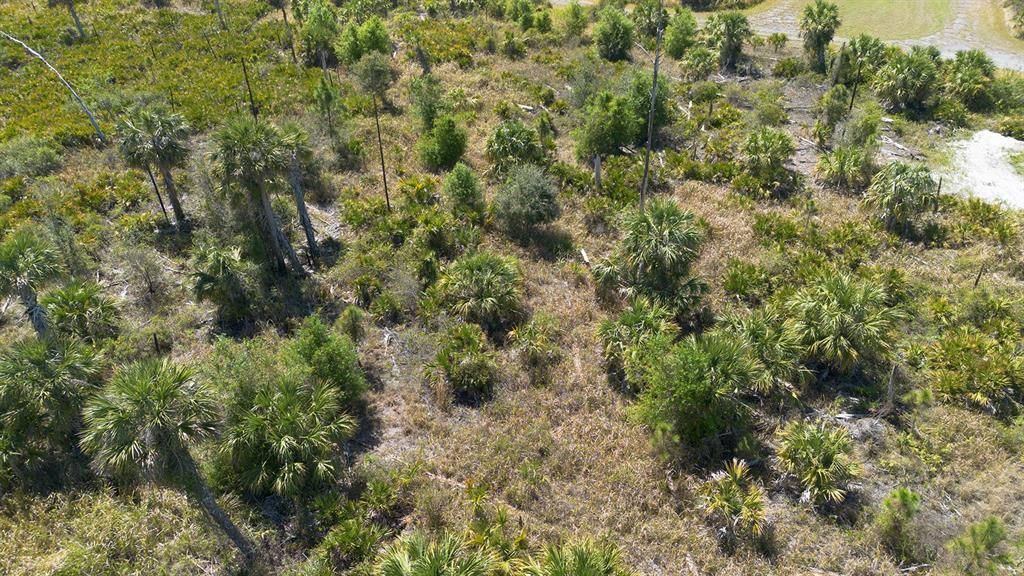 Farview Drive, North Port, FL 34288 Photo