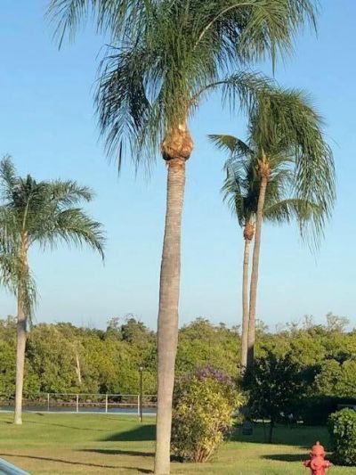 800 W Horizons 211 W, Unit 211, Boynton Beach, FL 33435 Photo