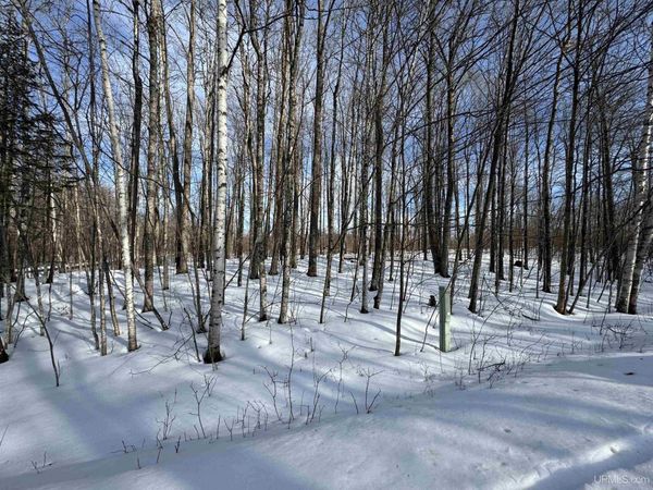 Lot 64 Little Deer Road, Stambaugh Twp, MI 49935