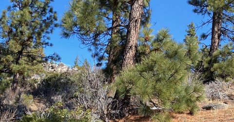 180 Scenic Range Court, Carson City, NV 89705 Photo