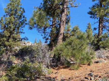 180 Scenic Range Court, Carson City, NV 89705 Photo