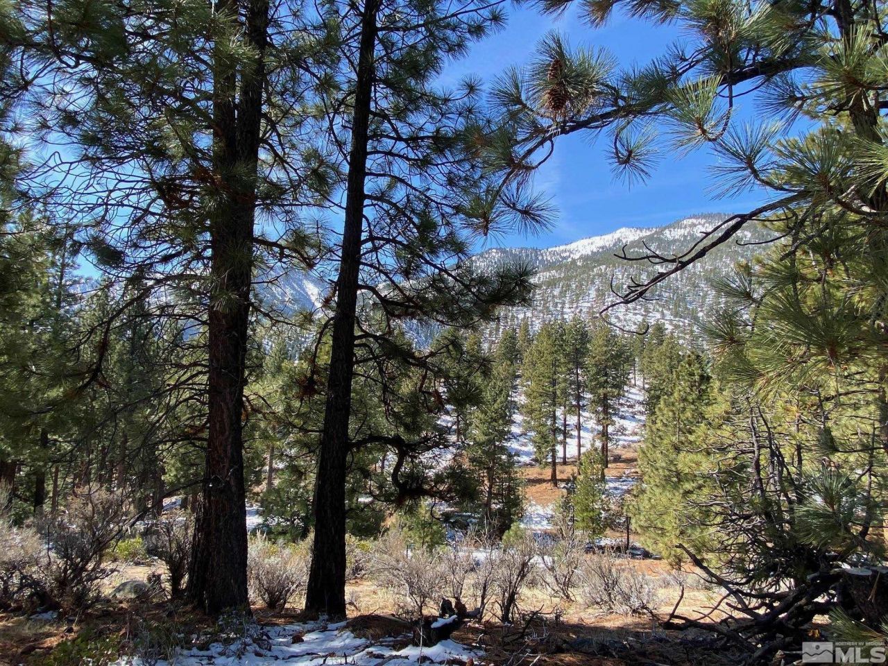 180 Scenic Range Court, Carson City, NV 89705 Photo