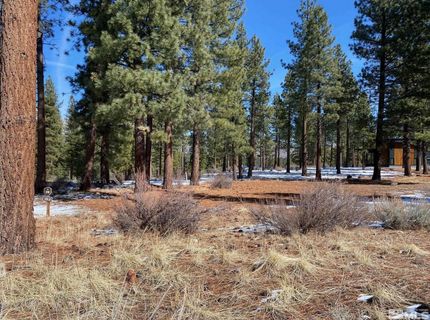 238 Redding Way, Carson City, NV 89705 Photo