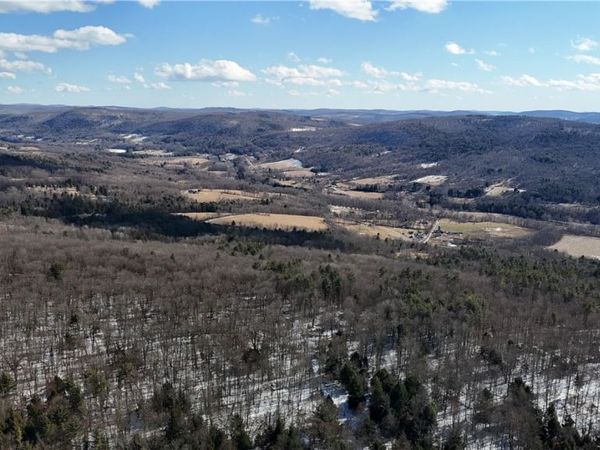 Patent Line Road, Sidney, NY 13838