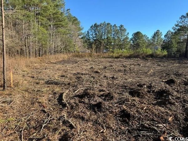 TBD Redmond Ct., Conway, SC 29526