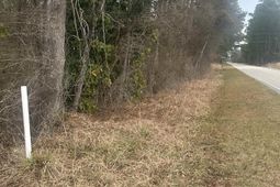 Tbd Pleasant View Church Rd. photo 4