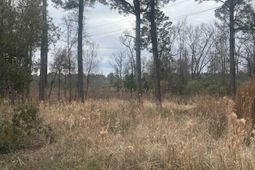 Tbd Pleasant View Church Rd. photo 4