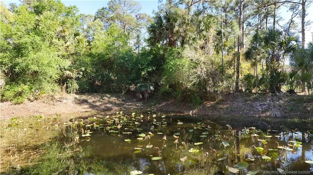 Unassigned Moss Avenue, Indiantown, FL 34956 Photo