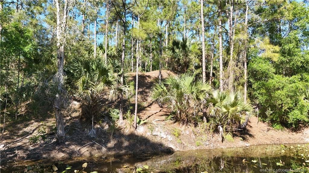 Unassigned Moss Avenue, Indiantown, FL 34956 Photo