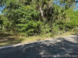 Unassigned Moss Avenue, Indiantown, FL 34956 Photo