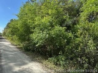 Unassigned Moss Avenue, Indiantown, FL 34956 Photo