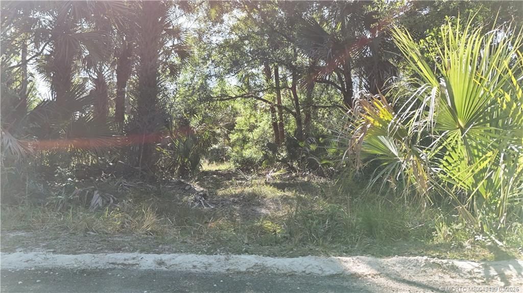 Unassigned Moss Avenue, Indiantown, FL 34956 Photo