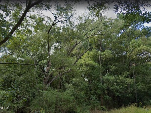 0 Dye Avenue, Moss Point, MS 39563