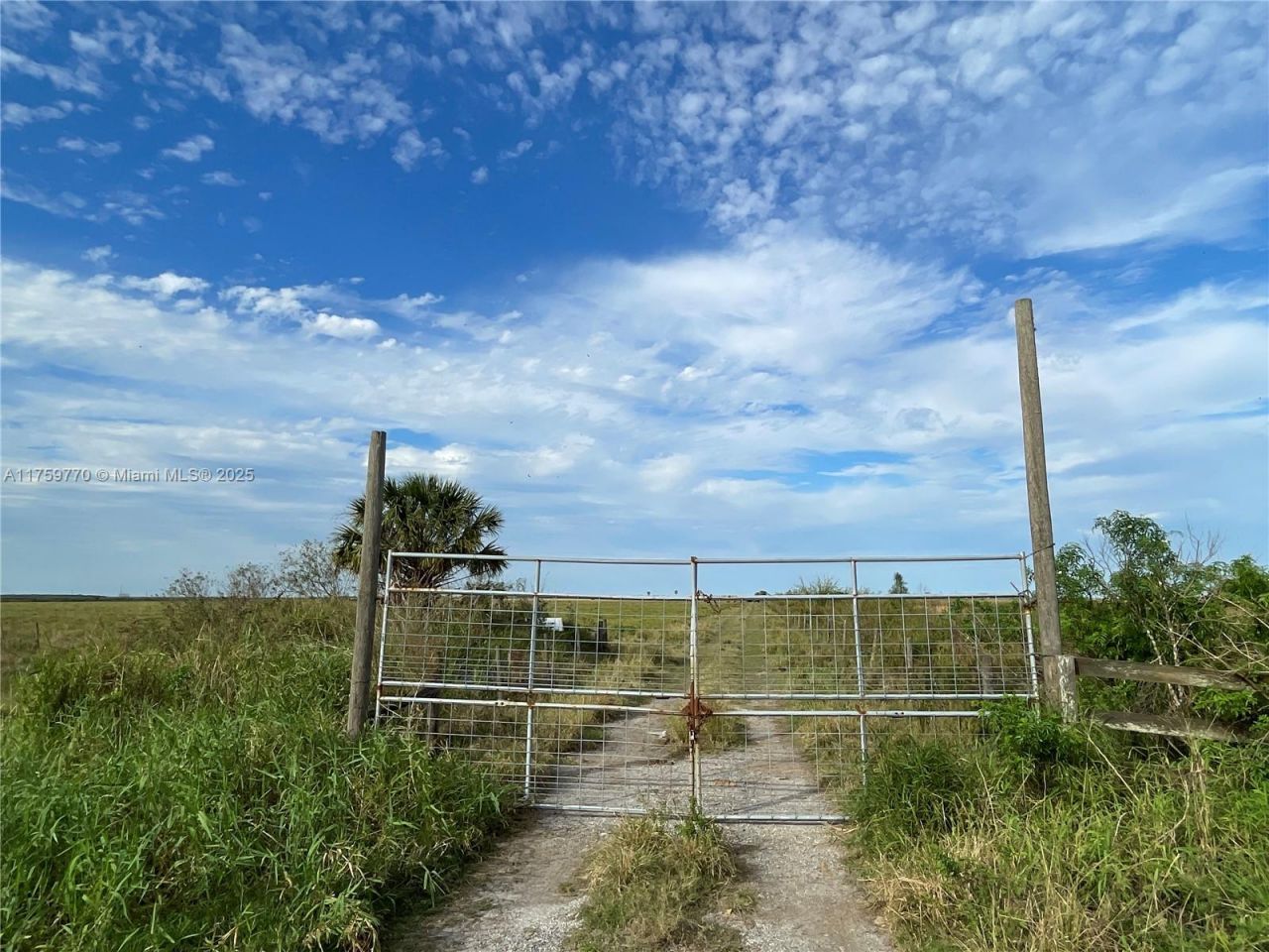 3700 State Rd 70, Lake Placid, FL 33852 Photo