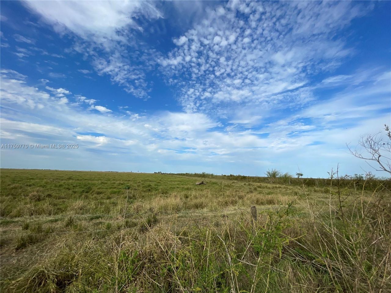 3700 State Rd 70, Lake Placid, FL 33852 Photo