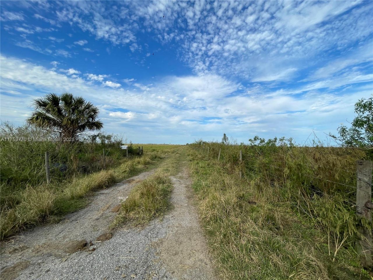 3700 State Rd 70, Lake Placid, FL 33852 Photo