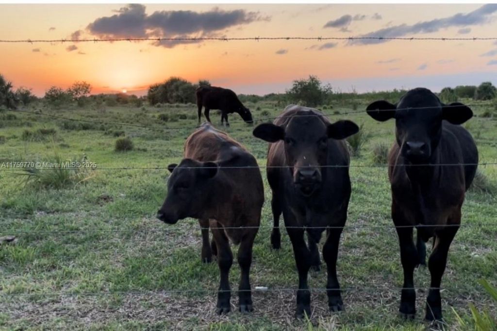 3700 State Rd 70, Lake Placid, FL 33852 Photo