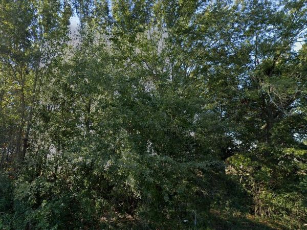 0 Fairwood Circle, Moss Point, MS 39563