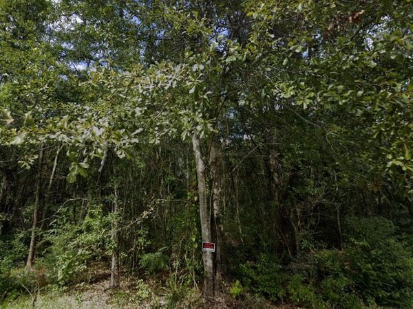 Lloyd Street, Moss Point, MS 39563