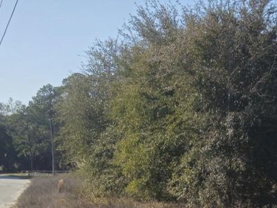 37 Levant Byas Road, Unit 25, Saint Helena Island, SC 29920