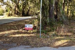 37 Levant Byas Road photo 4