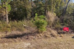 37 Levant Byas Road photo 4