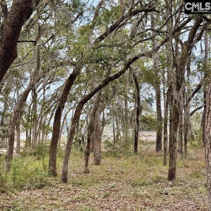 37 Levant Byas Road Photo 5