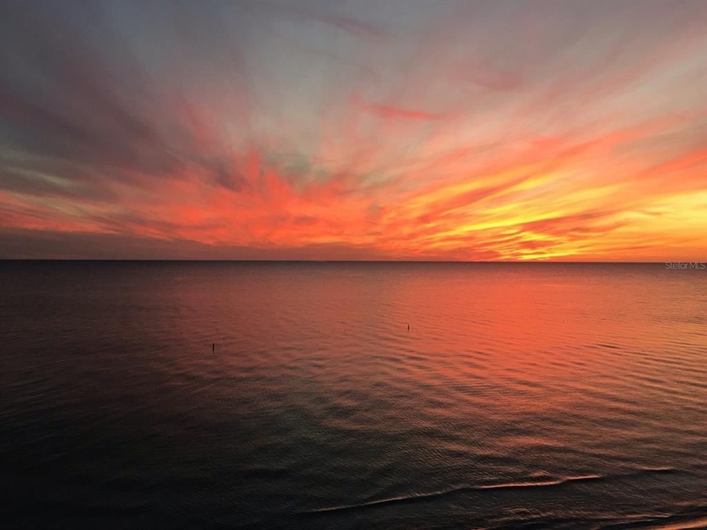 100 Bluff View Drive, Unit 417A, Belleair Bluffs, FL 33770 Photo