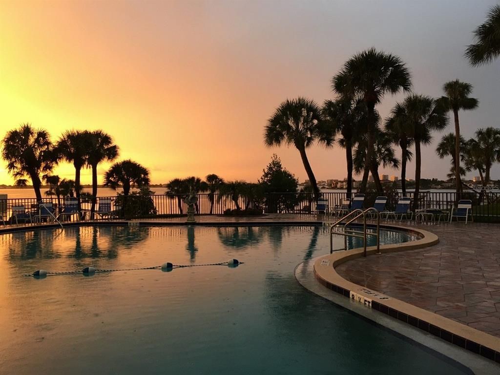 100 Bluff View Drive, Unit 417A, Belleair Bluffs, FL 33770 Photo