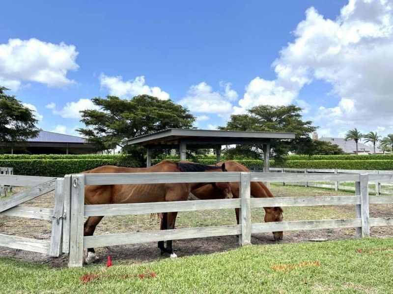 3585 Aiken Court, Wellington, FL 33414 Photo