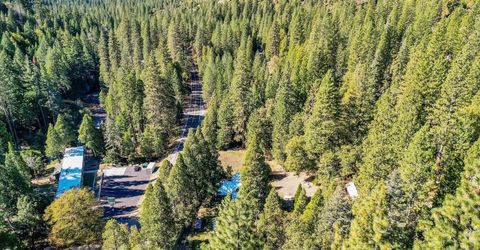 13651 Us-50, Kyburz, CA 95720 Photo
